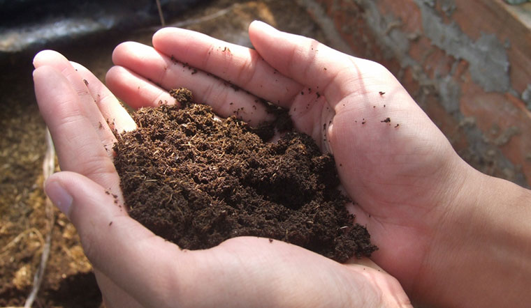 Cách chuẩn bị đất khi trồng cây - Tìm hiểu về đất và 6 bước giúp cải tạo đất dễ dàng!